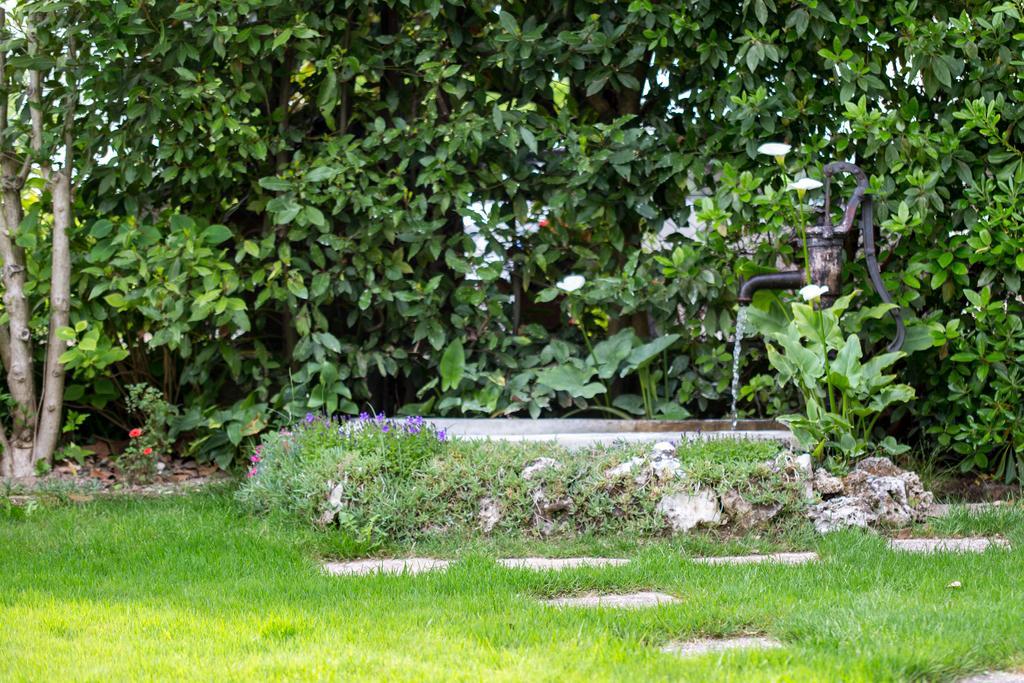 B&B Arco Di Pietra Quinto Di Treviso Kültér fotó
